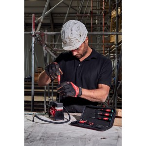 SERIE GIRAVITI PRECISIONE TORX - 6 PZ