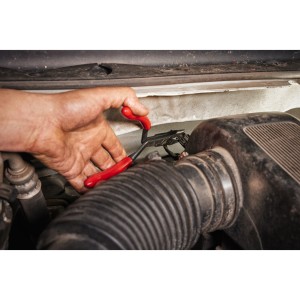 PINZA CON BECCHI LUNGHI