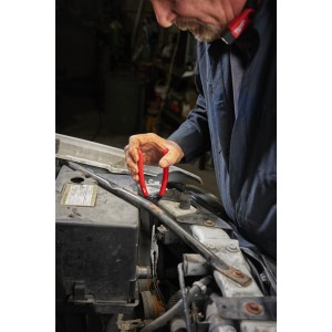 PINZA CON BECCHI LUNGHI