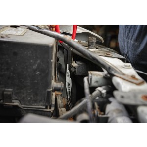 SET PINZE CON BECCHI LUNGHI 2 PZ