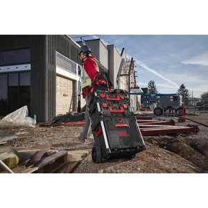 PACKOUT  CASSETTIERA CON LE RUOTE