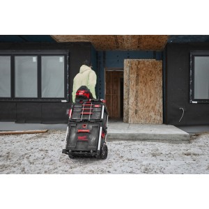 PACKOUT  CASSETTIERA CON LE RUOTE