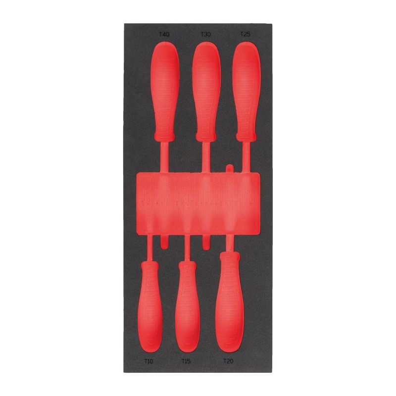 MODULO VUOTO SET GIRAVITI TORX N°2