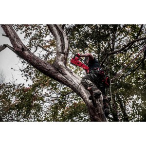 Elettrosega 18 Volt 40cm 12,0Ah FORGE Tecnologia FUEL