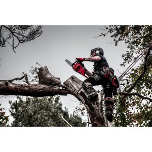 Elettrosega 18 Volt 40cm 12,0Ah FORGE Tecnologia FUEL