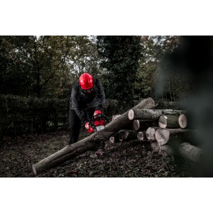 Elettrosega 18 Volt Barra 30cm 12,0Ah FORGE Tecnologia FUEL