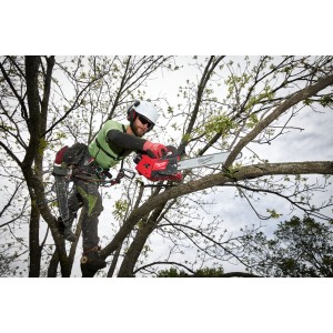 Elettrosega Top handle 18 Volt Barra 35cm 8 Ah FORGE Tecnologia FUEL