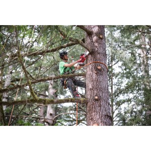 Elettrosega per potatura 18 Volt Barra 20cm 5.5Ah Tecnologia FUEL