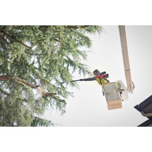 Potatore ad asta telescopico 18 Volt 12.0Ah FORGE (1 batteria) barra 30cm Tecnologia FUEL