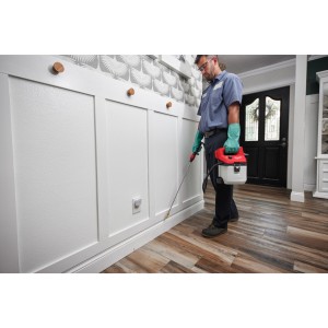 Pompa irroratrice compatta 12V 3.7 L con lancia per prodotti chimici