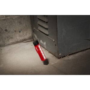 Torcia tascabile alcalina