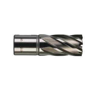 FRESA MET. HSS 20X30 MM